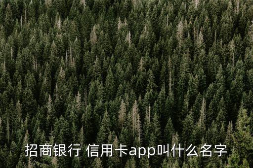 招商银行 信用卡app叫什么名字