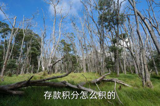 存款积分怎么积的