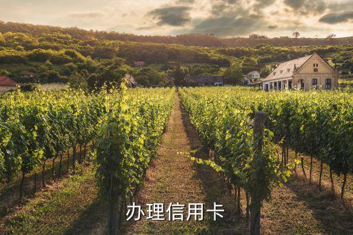 岑溪信用卡怎么申请办理,如何办理信用卡
