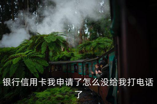 银行信用卡我申请了怎么没给我打电话了