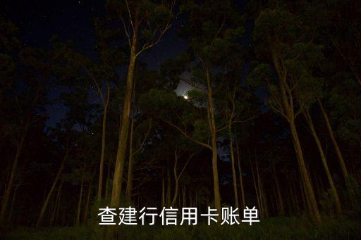 查建行信用卡账单