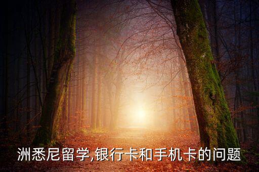 洲悉尼留学,银行卡和手机卡的问题