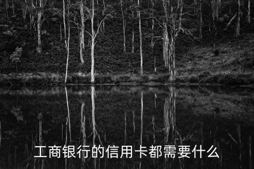 工商银行的信用卡都需要什么