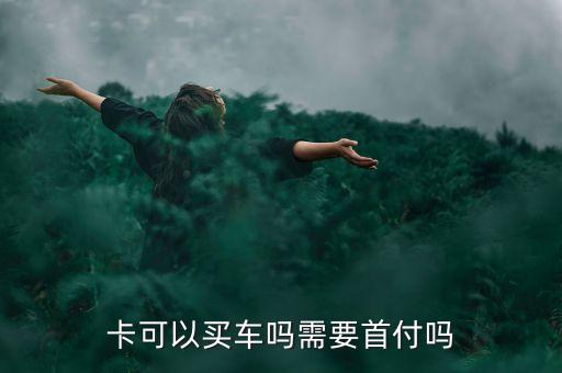 自己的信用卡分期买车,用信用卡分期买车划算吗