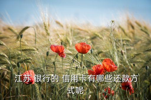 江苏银行信用卡续期,支付宝江苏银行宝藏信用卡
