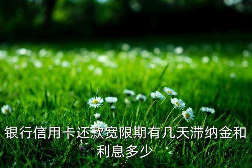 银行信用卡还款宽限期有几天滞纳金和利息多少