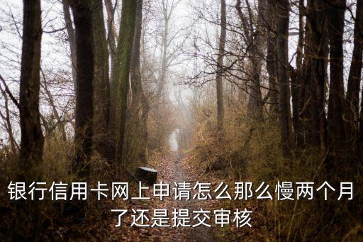 银行信用卡网上申请怎么那么慢两个月了还是提交审核