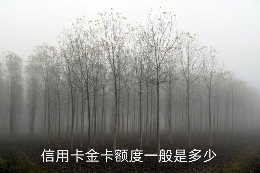 信用卡金卡额度一般是多少