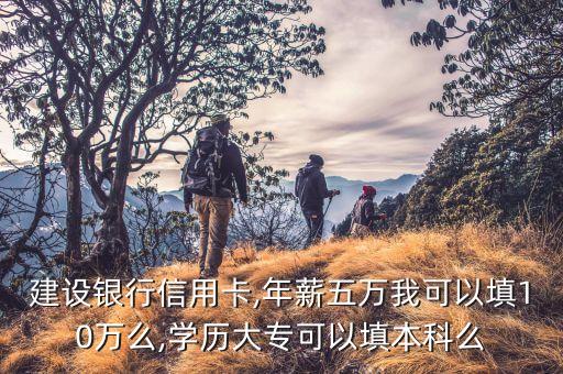 建设银行信用卡,年薪五万我可以填10万么,学历大专可以填本科么