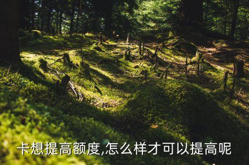 卡想提高额度,怎么样才可以提高呢