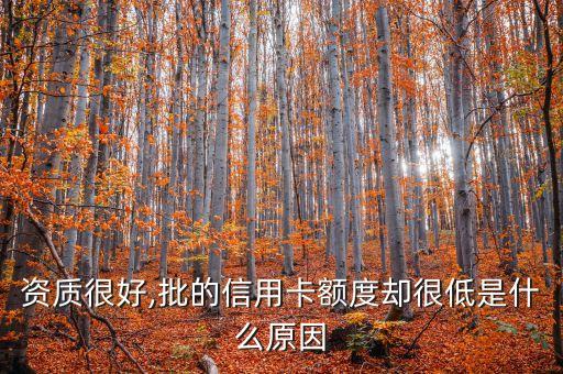 资质很好,批的信用卡额度却很低是什么原因