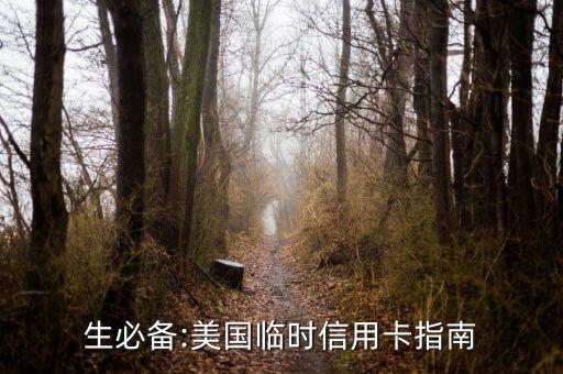 生必备:美国临时信用卡指南