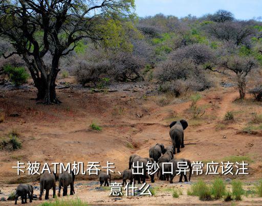 卡被ATM机吞卡、出钞口异常应该注意什么