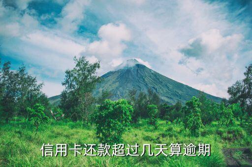 浦发信用卡逾期多久结账,铜陵蓝冰文化传播有限公司