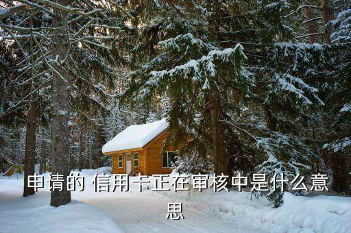  申请的 信用卡正在审核中是什么意思
