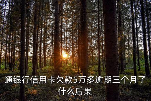 通银行信用卡欠款5万多逾期三个月了什么后果