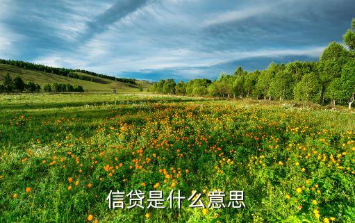 招行额度信贷 信用卡,招商银行授信额度