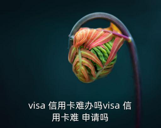 visa 信用卡难办吗visa 信用卡难 申请吗