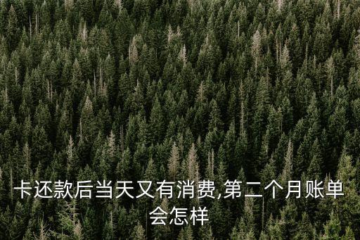 卡还款后当天又有消费,第二个月账单会怎样