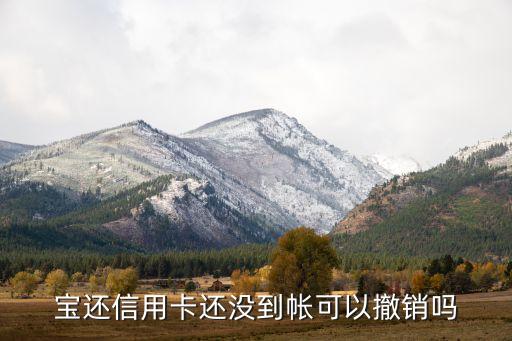 宝还信用卡还没到帐可以撤销吗