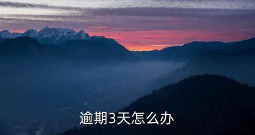 逾期3天怎么办