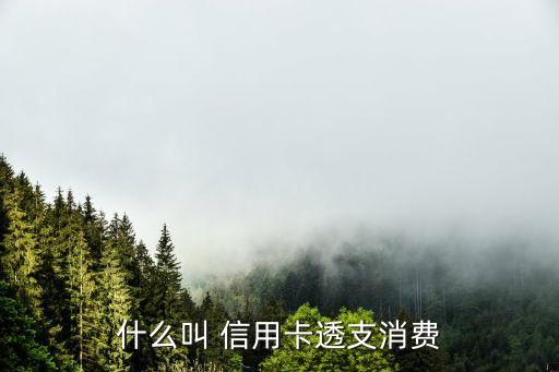 什么叫 信用卡透支消费