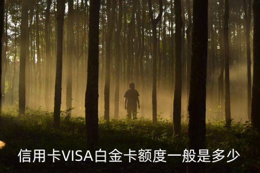信用卡VISA白金卡额度一般是多少