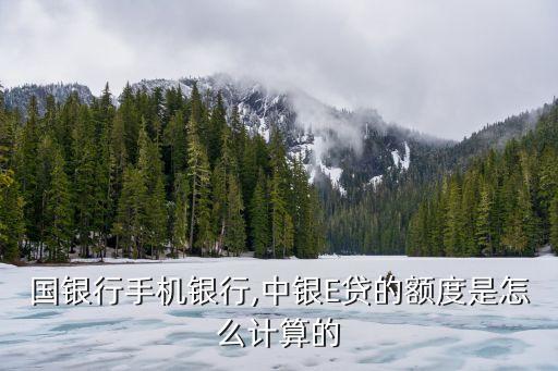 国银行手机银行,中银E贷的额度是怎么计算的