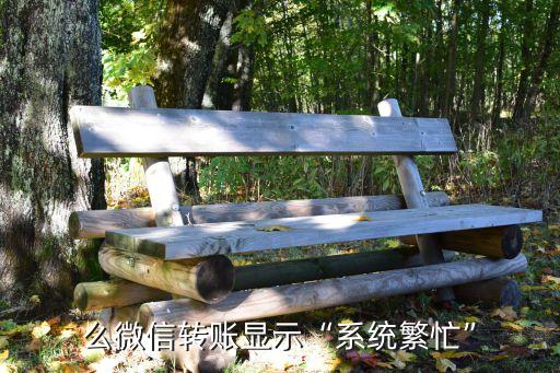 么微信转账显示“系统繁忙”