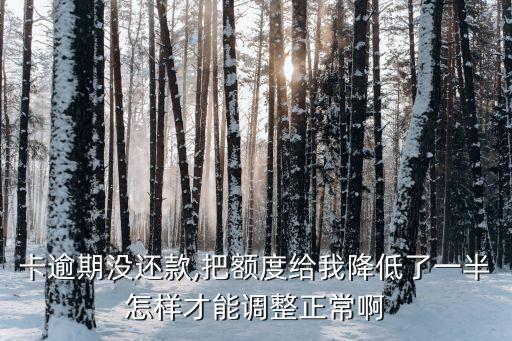 卡逾期没还款,把额度给我降低了一半怎样才能调整正常啊