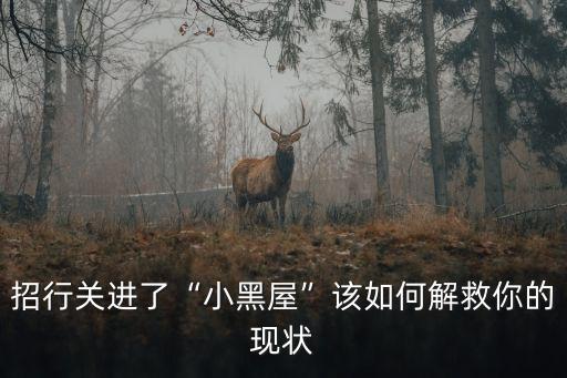 招行关进了“小黑屋”该如何解救你的现状