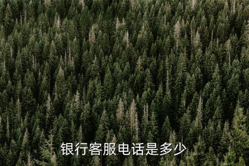 银行客服电话是多少