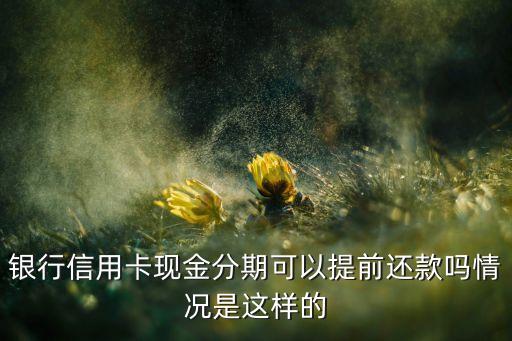 银行信用卡现金分期可以提前还款吗情况是这样的
