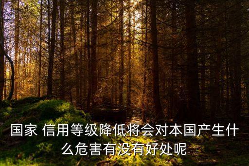 国家 信用等级降低将会对本国产生什么危害有没有好处呢