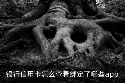 银行信用卡怎么查看绑定了哪些app