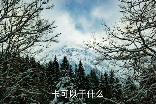 卡可以干什么