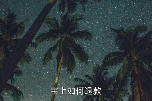 宝上如何退款
