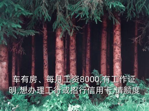 车有房、每月工资8000,有工作证明,想办理工行或招行信用卡,请额度...