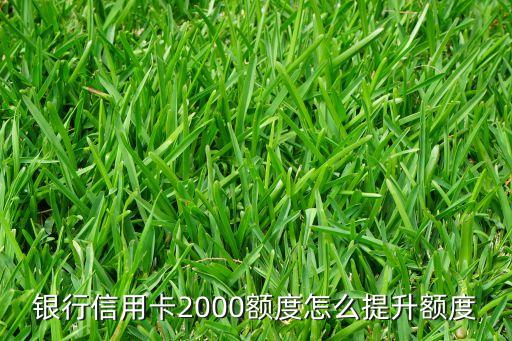 银行信用卡2000额度怎么提升额度