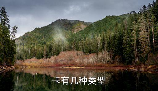 卡有几种类型