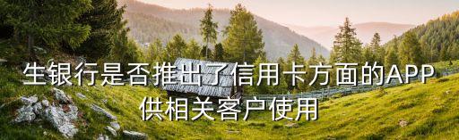 生银行是否推出了信用卡方面的APP供相关客户使用