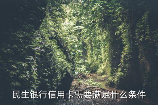 民生银行信用卡需要满足什么条件