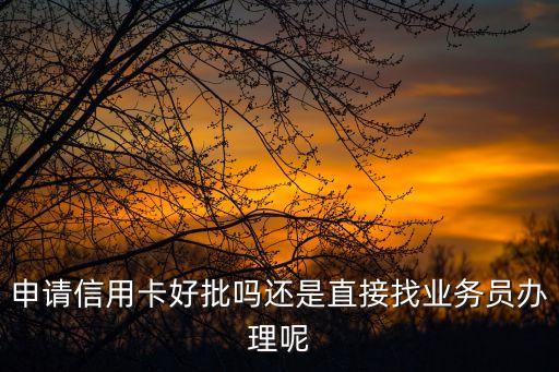 申请信用卡好批吗还是直接找业务员办理呢