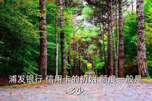 白金信用卡起始额度,中信银行白金信用卡一般多少额度