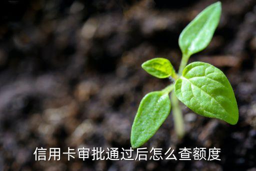 怎样才能查到信用卡额度,怎么查询信用卡额度