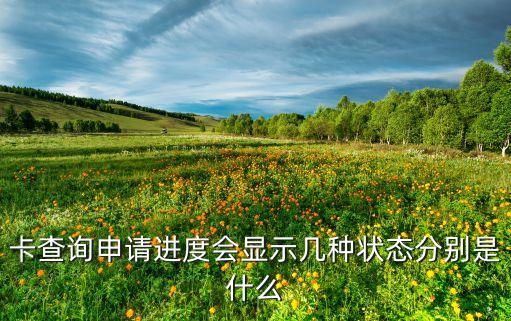 广州银行信用卡申请状态,常州绿清环保科技有限公司