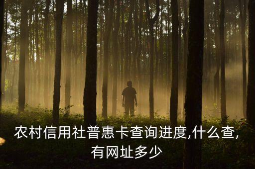 农村信用社普惠卡查询进度,什么查,有网址多少