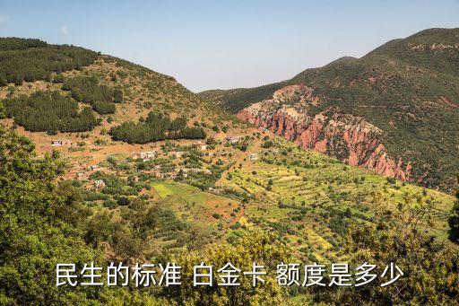 民生的标准 白金卡 额度是多少