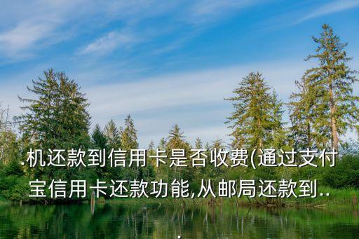 .机还款到信用卡是否收费(通过支付宝信用卡还款功能,从邮局还款到...