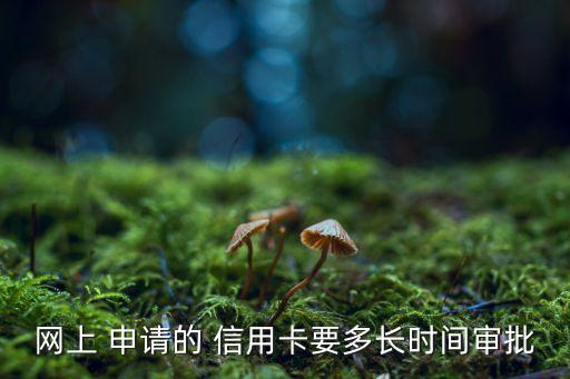 网上 申请的 信用卡要多长时间审批